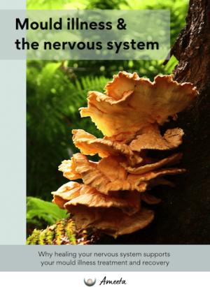 Mould illness and the nervous system copy Mould illness and the nervous system copy